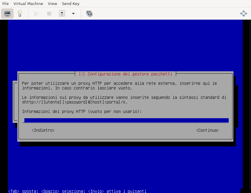 _images/netinstall-proxy.png